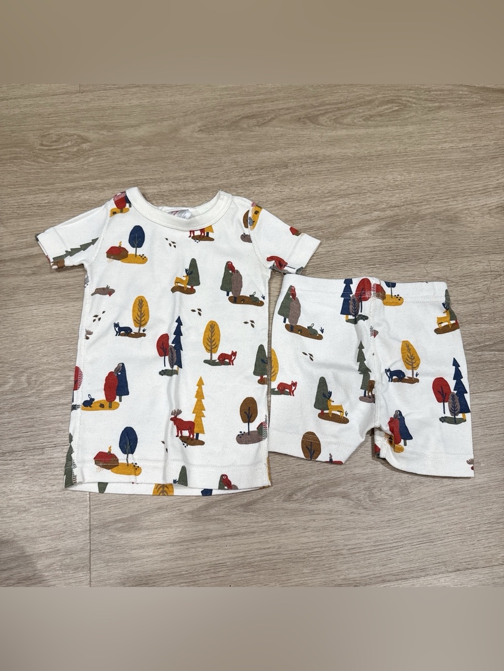 Hanna Andersson White Organic Cotton Tee with Multi-Color Forest Print 2T